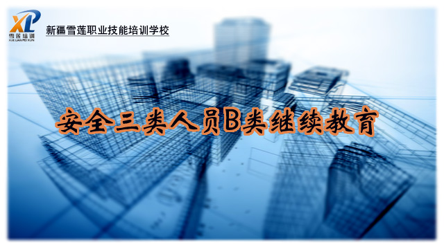 2025年(B类)继续教育