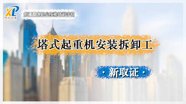 2025建筑起重机械安装拆卸工(塔式起重机)