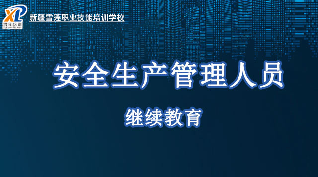 2025年城镇燃气经营企业从业人员—安全生产管理人员