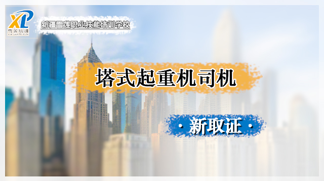 2026塔式起重机司机