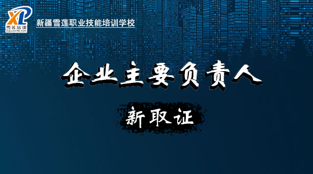 2026年城镇燃气经营企业从业人员—企业主要负责人
