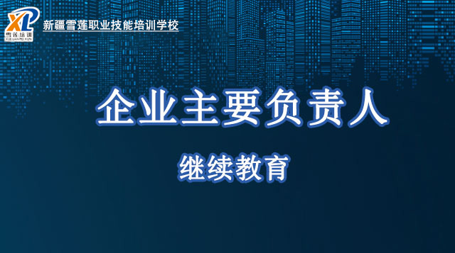 2026年城镇燃气经营企业从业人员—企业主要负责人